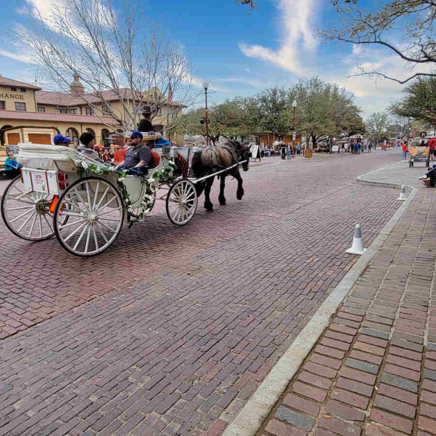 Fort Worth Stockyards Carriage Ride